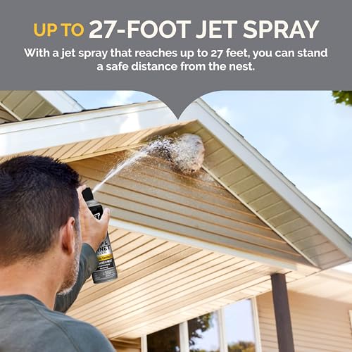 Hot Shot Wasp & Hornet Killer, Aerosol, 14-Ounce, 12-Pack Black