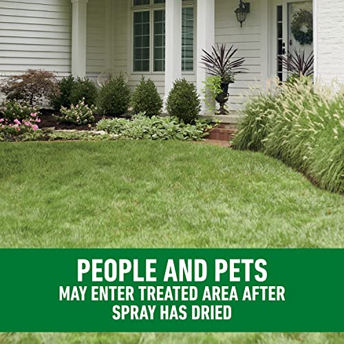 Roundup for Lawns₁ Ready-to-Use with Extend Wand, Tough Weed Killer for Use on Northern Grasses, 1.33 gal.
