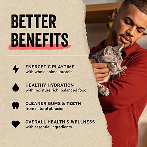 Vital Essentials Minnows Cat Treats, 1 oz | Freeze-Dried Raw | Single Ingredient | Grain Free, Gluten Free, Filler Free
