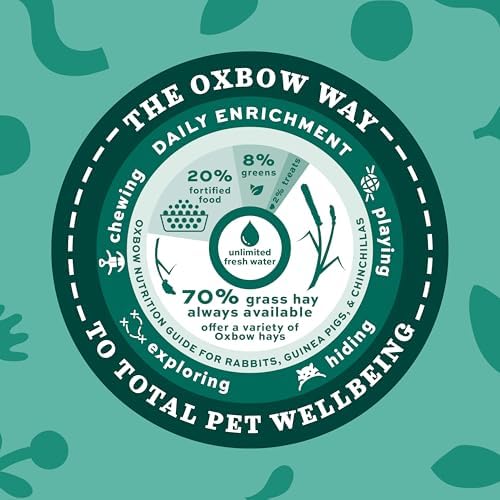 Oxbow Western Timothy Hay for Small Pets – All-Natural Grass Hay for Rabbits, Guinea Pigs, and Chinchillas – High Fiber for Digestive Health and Dental Support – 40 oz Bag