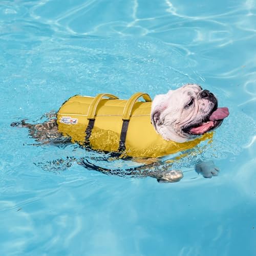 Outward Hound Granby Splash Dog Life Jacket, High-Buoyancy Dog Life Vest for Swimming, Boating, and Water Safety, Large, Yellow
