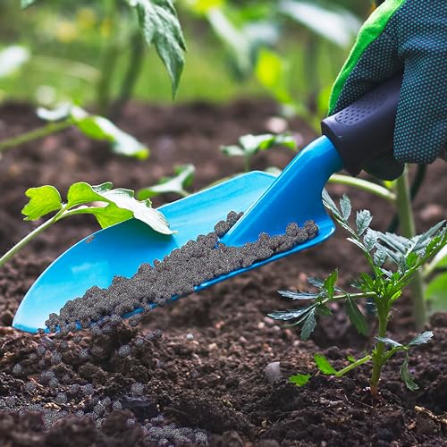 Jobe’s Organics Granular Garden Fertilizer, Easy Plant Care Fertilizer for Vegetable Gardens and Tomato Plants, 4 lbs Bag