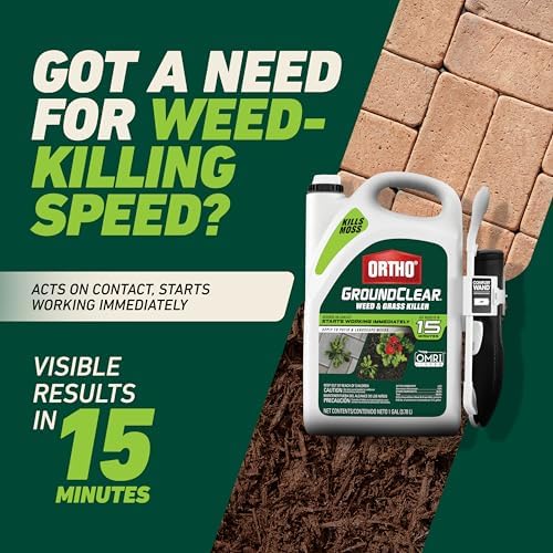 Ortho GroundClear Weed and Grass Killer with Comfort Wand, Kills Dandelions, Chickweed, Crabgrass, Moss and More in Patios and Landscapes, OMRI Listed, 1 gal.