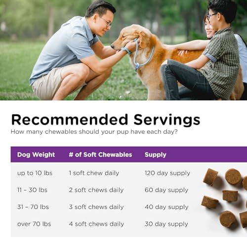 Nutri-Vet Pre & Probiotics for Dogs, Digestive Support, Upset Stomach, Puppy Probiotic, Pet Vitamins and Supplements, Dog Probiotics, Liver & Cheese Flavor, 120 Soft Chews