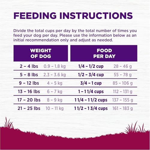 Wellness Complete Health Small Breed Adult Dry Dog Food with Grains and Real Turkey, Natural Ingredients, Omega Fatty Acids, and Probiotics, Made in USA (12-Pound Bag)”