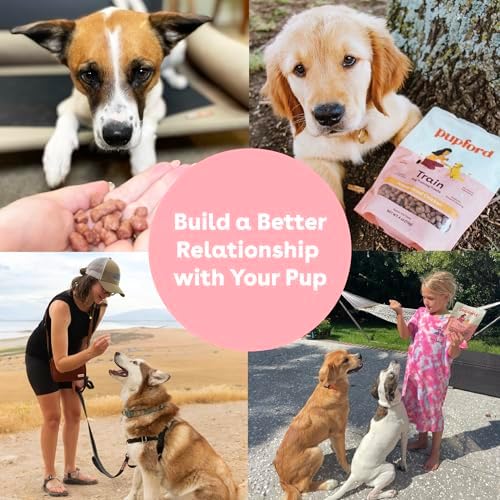 Pupford Freeze Dried Training Treats for Dogs & Puppies, 475+ Two Ingredient Bites (Chicken, 4 oz)