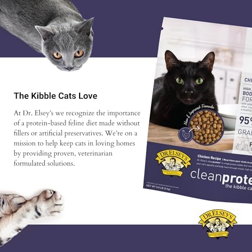 Dr. Elsey's cleanprotein Chicken Cat Kibble 6.6 lb. Bag