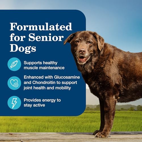 Blue Buffalo Homestyle Recipe Senior Wet Dog Food, Made with Natural Ingredients, Chicken Dinner with Garden Vegetables, 12.5-oz Cans (12 Count)