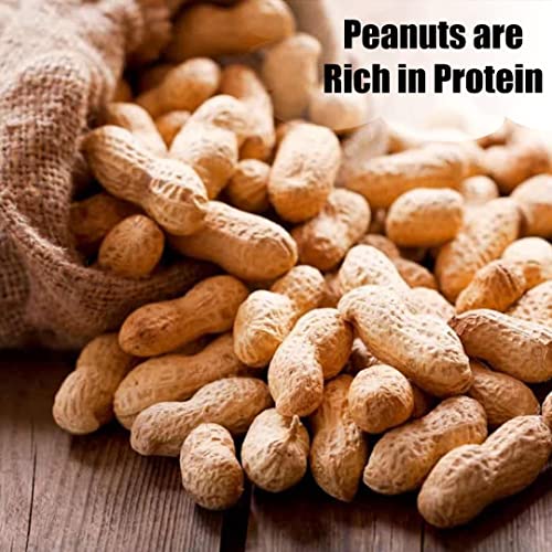 Old Potters Wildlife in-Shell Peanuts for Birds, Squirrels and Wildlife. USA Grown Non-GMO Raw in-Shell Peanuts (in-Shell, 8 lbs)