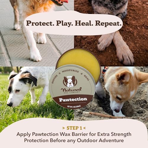 Natural Dog Company Paw Soother Balm & Wax for Dogs, Moisturizing Relief for Dry, Cracked Paws, Lick-Safe, Repairs & Heals, Protects Against Extreme Weather, Coconut Oil & Vitamin E, 2 oz Stick