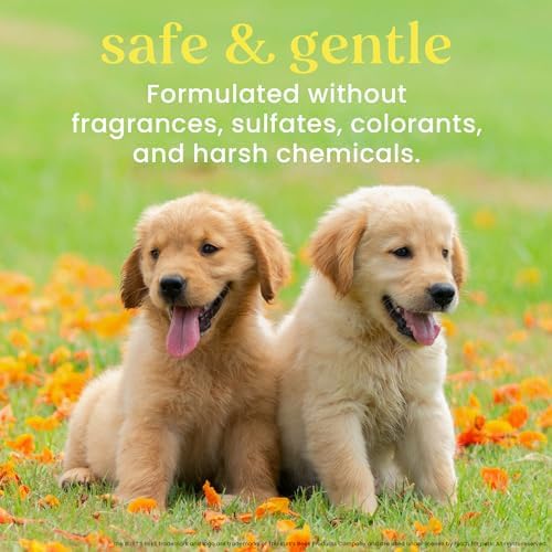 Burt's Bees for Pets Tearless Puppy 2-in-1 Shampoo and Conditioner with Buttermilk and Linseed Oil, 2pk, 95% Natural Origin Formulas, Best Gentle Shampoo for Puppies - Tear Free, 16 oz - 2 Pack