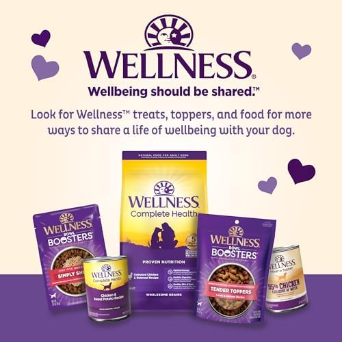 Old Mother Hubbard by Wellness Classic Original Mix Natural Dog Treats, Crunchy Oven-Baked Biscuits, Ideal for Training, Mini Size, 3.8 pound bag