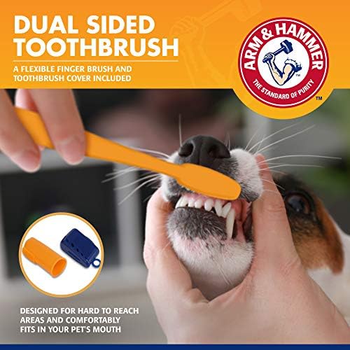 Arm & Hammer for Pets Tartar Control Kit for Dogs Contains Toothpaste, Toothbrush & Fingerbrush Reduces Plaque & Tartar Buildup, 3-Piece Kit, Banana Mint Flavor (Pack of 1)