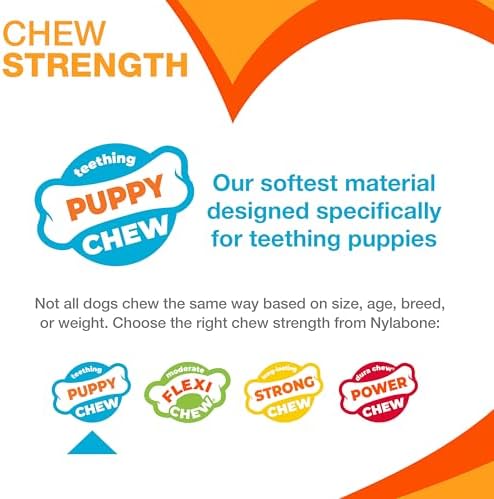 Nylabone Ring Bone Chew Toy for Puppies, Puppy Teething Toys, Puppy Enrichment Toys, Chicken Flavor, Medium Dogs - Up to 35 lbs, 2 Pack