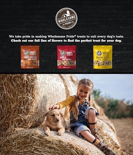 Wholesome Pride Sweet Potato Chews All-Natural Single Ingredient Dog Treats, 32 oz
