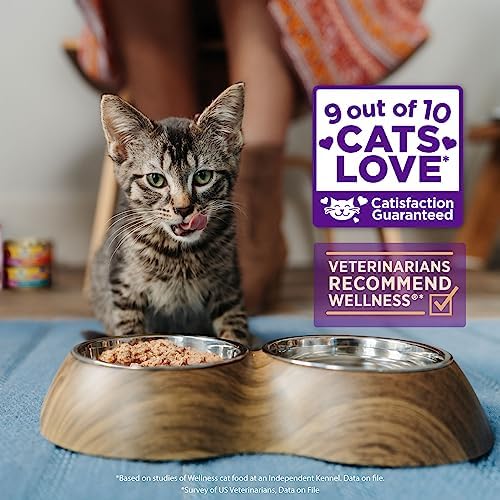 Wellness CORE Signature Selects Flaked Adult Wet Cat Food, Natural, Protein-Rich, Grain Free, 2.8 Ounce, 12 Pack (Skipjack Tuna & Wild Salmon)