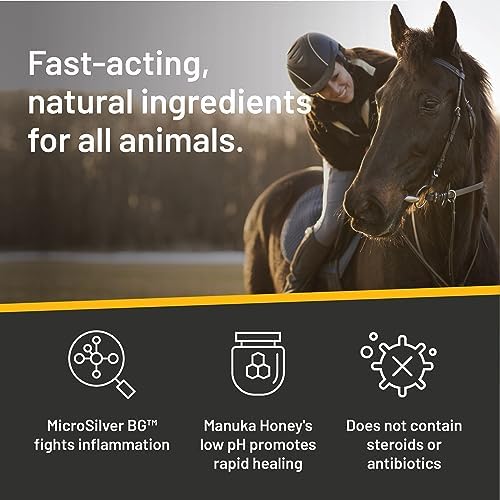 Absorbine Silver Honey Rapid Wound Repair Ointment 2oz Tube, Manuka Honey & MicroSilver BG