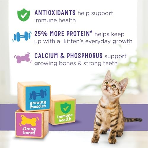 Purina Kitten Chow 14lb