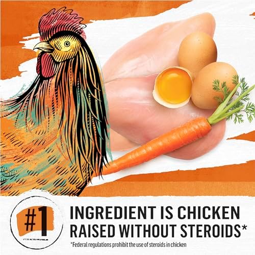 Purina Beyond Grain Free White Meat Chicken and Egg Recipe Natural Cat Food High Protein Cat Food Dry Formula - 5 lb. Bag