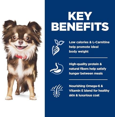 Hill's Science Diet Sensitive Stomach & Skin, Adult 1-6, Small & Mini Breeds Stomach & Skin Sensitivity Support, Dry Dog Food, Chicken Recipe, 4 lb Bag