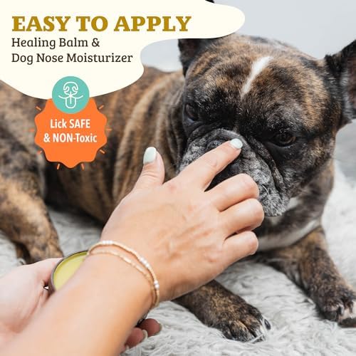 Natural Dog Company Snout Soother, Dog Nose Balm, Wax & Cream for Dry, Cracked Noses, Heals & Moisturizes with Shea Butter & Coconut Oil, Lick-Safe Nose Butter, Made in USA, 1 oz. Tin