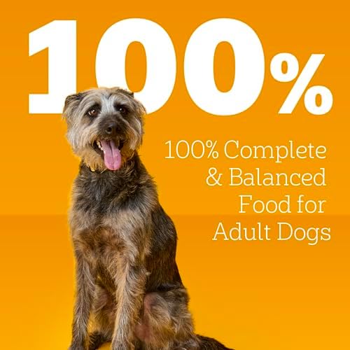 Pedigree Choice Cuts in Gravy Adult Canned Soft Wet Dog Food, Beef & Country Stew, 13.2 oz. Cans (12 Count, Pack of 1)