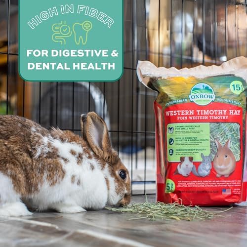 Oxbow Western Timothy Hay for Small Pets – All-Natural Grass Hay for Rabbits, Guinea Pigs, and Chinchillas – High Fiber for Digestive Health and Dental Support – 40 oz Bag