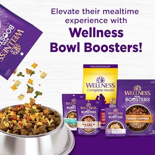 Wellness Complete Health Dry Dog Food with Grains, Made in USA with Real Meat & Natural Ingredients, All Breeds, Adult Dogs (Chicken & Oatmeal, 30-lb) – With Nutrients for Immune, Skin, & Coat Support