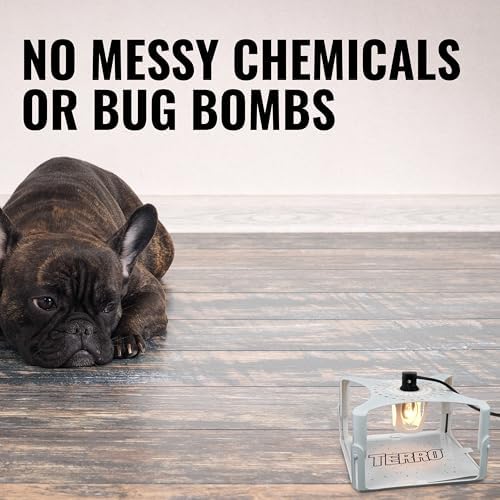 Terro T230 Indoor Electric Flea Trap and Killer - Refillable Flea Traps for Inside Your Home