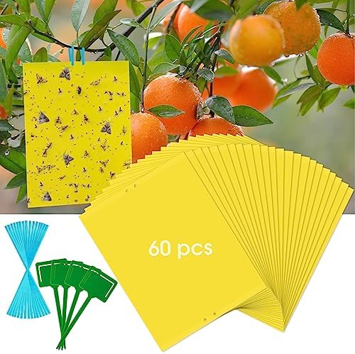 Dwcom 60 Pack Yellow Sticky Traps for Gnats Fruit Fly Traps for Indoors, Fungus Gnat Traps for House Indoor Fly Paper Indoor for Gnats Killer Indoor Trap