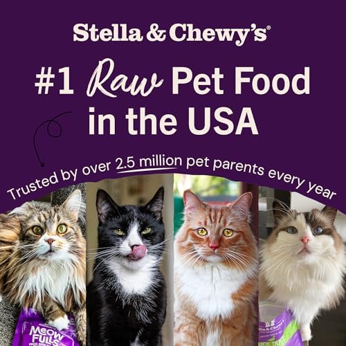 Stella & Chewy's Freeze-Dried Raw Cat Dinner Morsels - Premium Chicken Recipe with 98% Cage-Free Meat & Organs - Natural Grain-Free Cat & Kitten Food - Made in USA - 3.5 oz