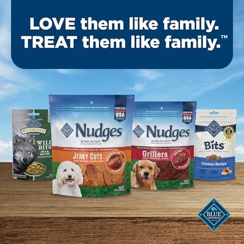 Blue Buffalo Nudges Jerky Bites Dog Treats, Made in the USA with Natural Ingredients, Bite-Sized Pieces, Chicken, 16-oz Bag