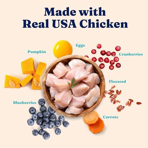 Solid Gold High Protein Dry Cat Food - Grain Free & Gluten Free Chicken Cat Dry Food w/Probiotics for Gut Health & Digestion - High Fiber & Omega 3 - Low Carb Superfood Kibble for Cats All Ages - 6LB