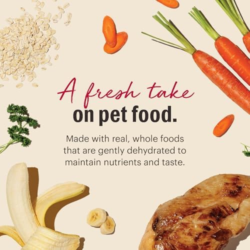 The Honest Kitchen Human Grade Dehydrated Whole Grain Dog Food – Complete Meal or Topper – Chicken 10 lb (makes 40 lbs)