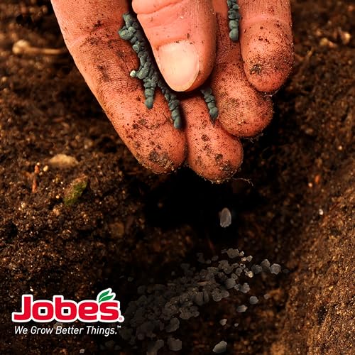 Jobe’s Organics Granular Garden Fertilizer, Easy Plant Care Fertilizer for Vegetable Gardens and Tomato Plants, 4 lbs Bag