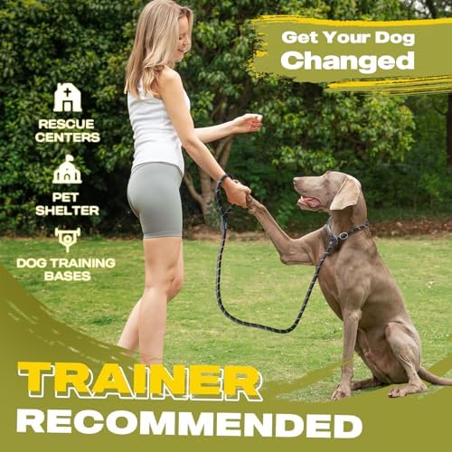 Fida Durable Slip Lead Dog Leash, 6 FT x 1/2" Heavy Duty Dog Loop Leashes, Comfortable Strong Rope Slip Leash for Large Medium Dogs, No Pull Pet Training Lead with Highly Reflective(1/2", Black)