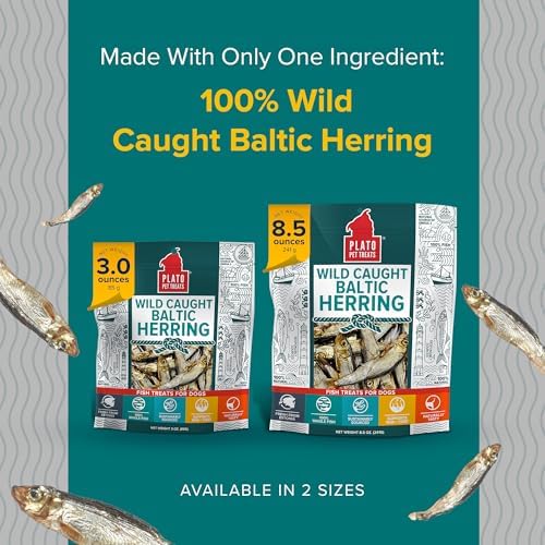 PLATO Pet Treats Fish Dog Treats - Air-Dried, Single Ingredient Dog Treat - with Omega 3 & 6 Fatty Acids to Support Skin and Coat - 100% Whole Fish - Wild Caught Baltic Herring Dog Treats - 3oz