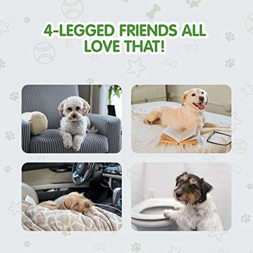 COCOYO Best Value Dog Training Pads | Dog Pee Pads | Super Absorbent Puppy Pads (17.5" x 23.5", 100 Count),Blue