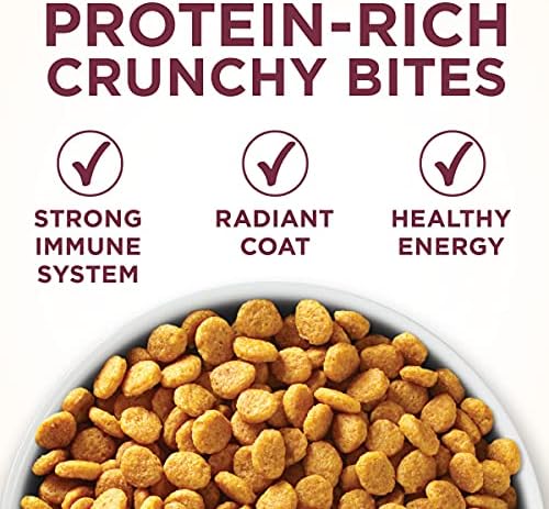Purina ONE High Protein Dry Cat Food, +Plus Urinary Tract Health Formula - 16 lb. Bag