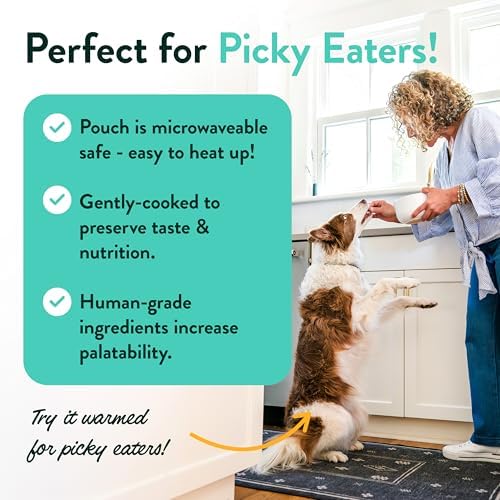 Portland Pet Food Company Mixed Fresh Dog Food Pouches Variety Pack - Human-Grade, Gluten-Free Wet Pet Meal Topper Mix-Ins & Meals - Small & Large Breed Puppy & Senior Dogs - Made in The USA - 5 Pack