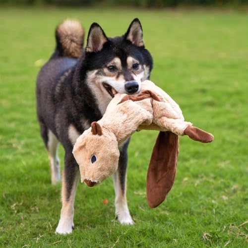 Best Pet Supplies 2-in-1 Stuffless Squeaky Dog Toys with Soft, Durable Fabric for Small, Medium, and Large Pets, No Stuffing for Indoor Play, Supports Active Biting and Play - 4 Figures, Small