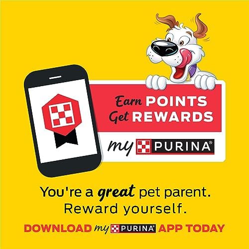 Purina Beggin' Strips Dog Treats, Original With Bacon Flavor - (Pack of 2) 26 oz. Pouches