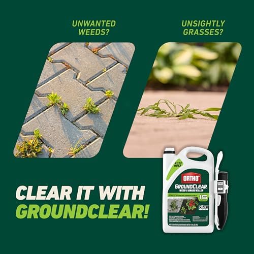 Ortho GroundClear Weed and Grass Killer with Comfort Wand, Kills Dandelions, Chickweed, Crabgrass, Moss and More in Patios and Landscapes, OMRI Listed, 1 gal.