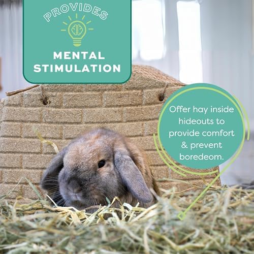 Oxbow Western Timothy Hay for Small Pets – All-Natural Grass Hay for Rabbits, Guinea Pigs, and Chinchillas – High Fiber for Digestive Health and Dental Support – 40 oz Bag