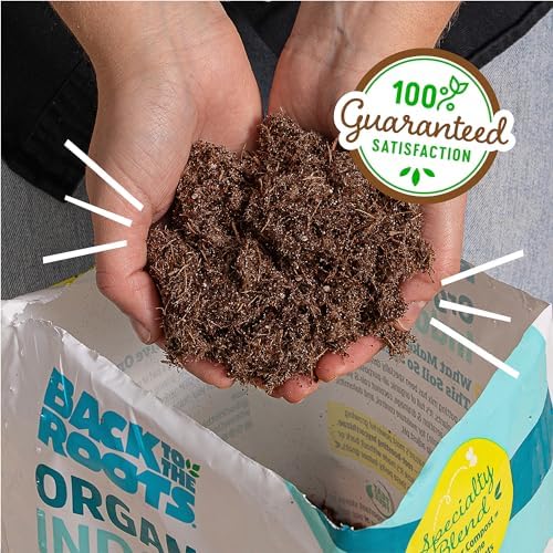 Back to the Roots 100% Organic Indoor Potting Mix (Value 12 Quart) | Promotes Healthy Houseplant Growth| Made in The USA