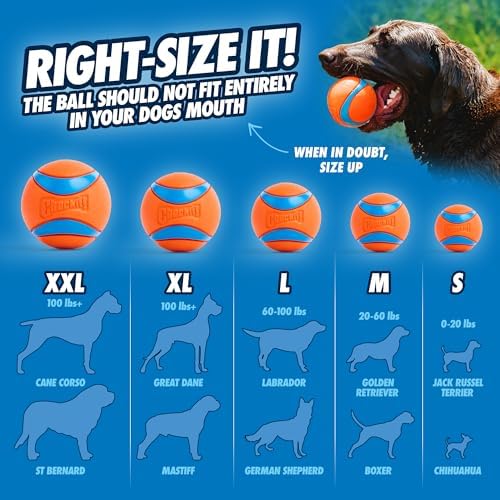 Chuckit! Ultra Ball Dog Toy - Medium Bouncy Fetch Balls For Dogs 20-60 lbs - Made from Durable Rubber - Floating Water Pet Toys - Size Medium - 2.5-inch Diameter - Pack of 4