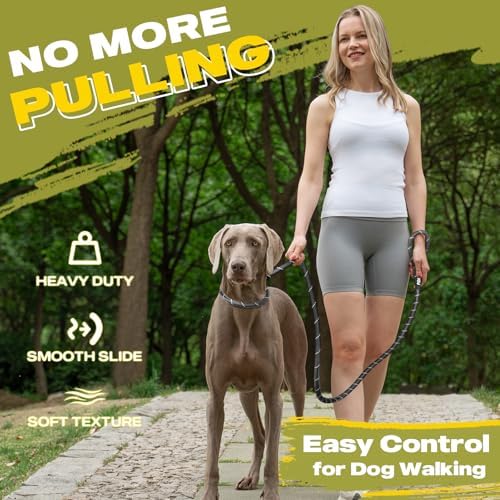 Fida Durable Slip Lead Dog Leash, 6 FT x 1/2" Heavy Duty Dog Loop Leashes, Comfortable Strong Rope Slip Leash for Large Medium Dogs, No Pull Pet Training Lead with Highly Reflective(1/2", Black)