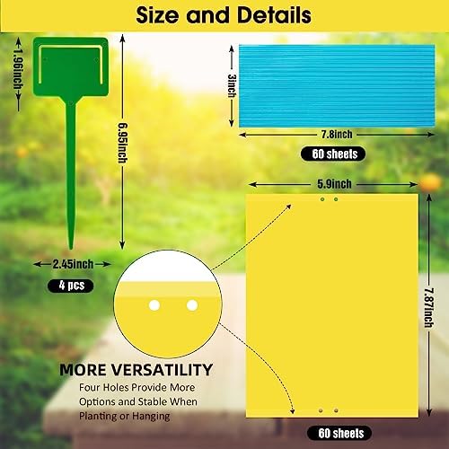 Dwcom 60 Pack Yellow Sticky Traps for Gnats Fruit Fly Traps for Indoors, Fungus Gnat Traps for House Indoor Fly Paper Indoor for Gnats Killer Indoor Trap