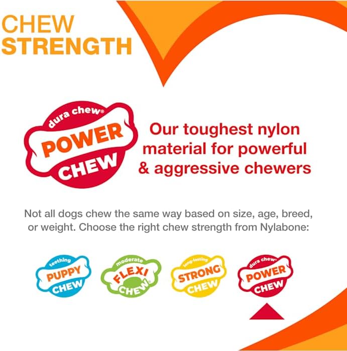 Nylabone Original Bone Power Chew Toy for Dogs, Durable Dog Toys for Aggressive Chewers, Basted Blast Chicken Flavor, Large - Up to 50 lbs, 2 Pack