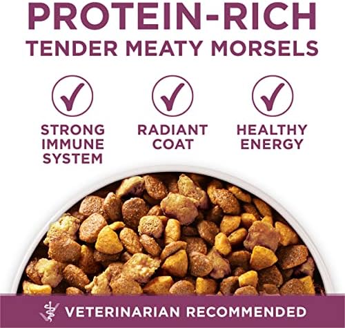Purina ONE Plus Healthy Puppy Formula High Protein Natural Dry Puppy Food with added vitamins, minerals and nutrients - 16.5 lb. Bag